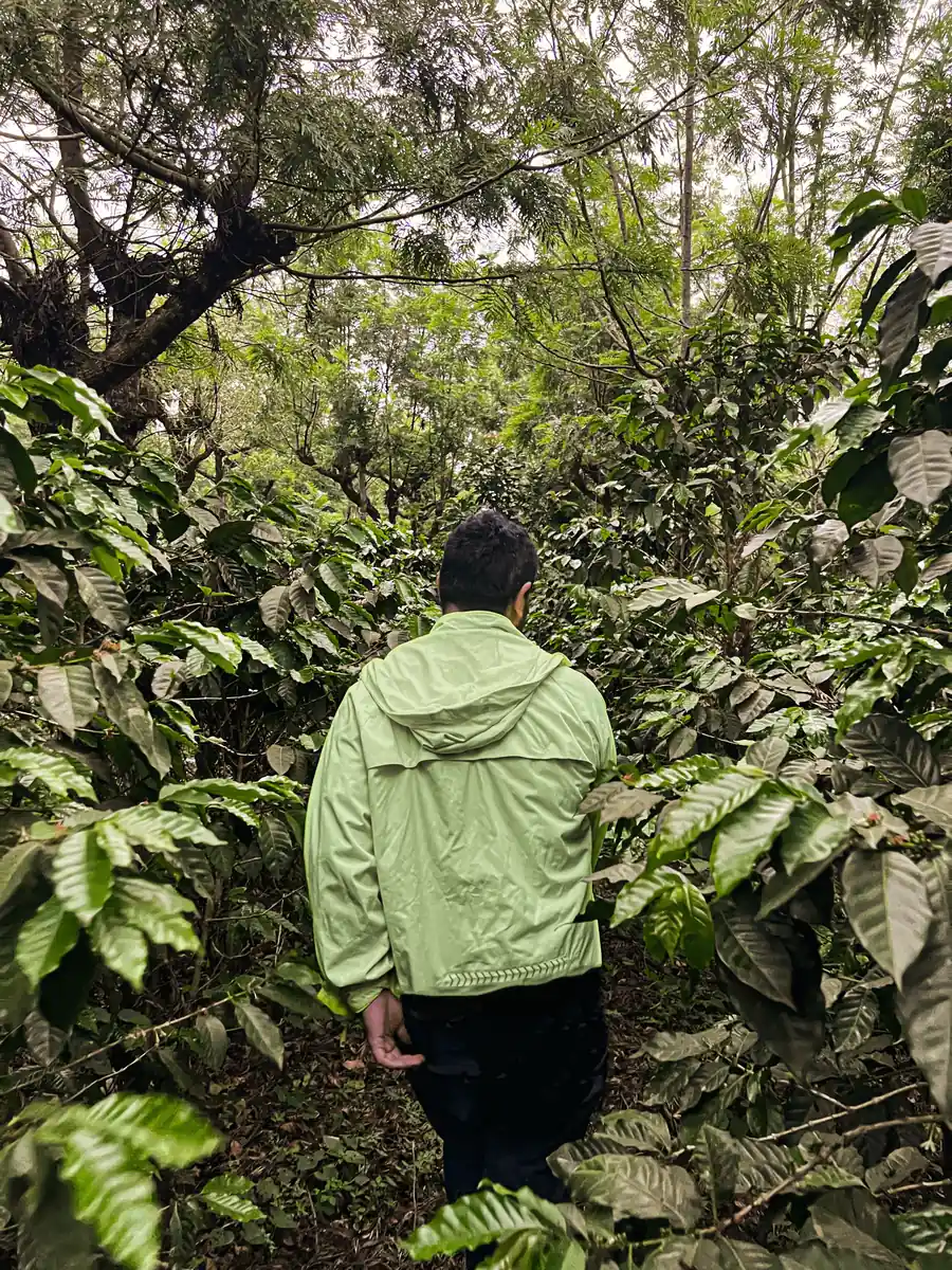Walking around the coffee farm in Guatemala at Finca Linda Morena