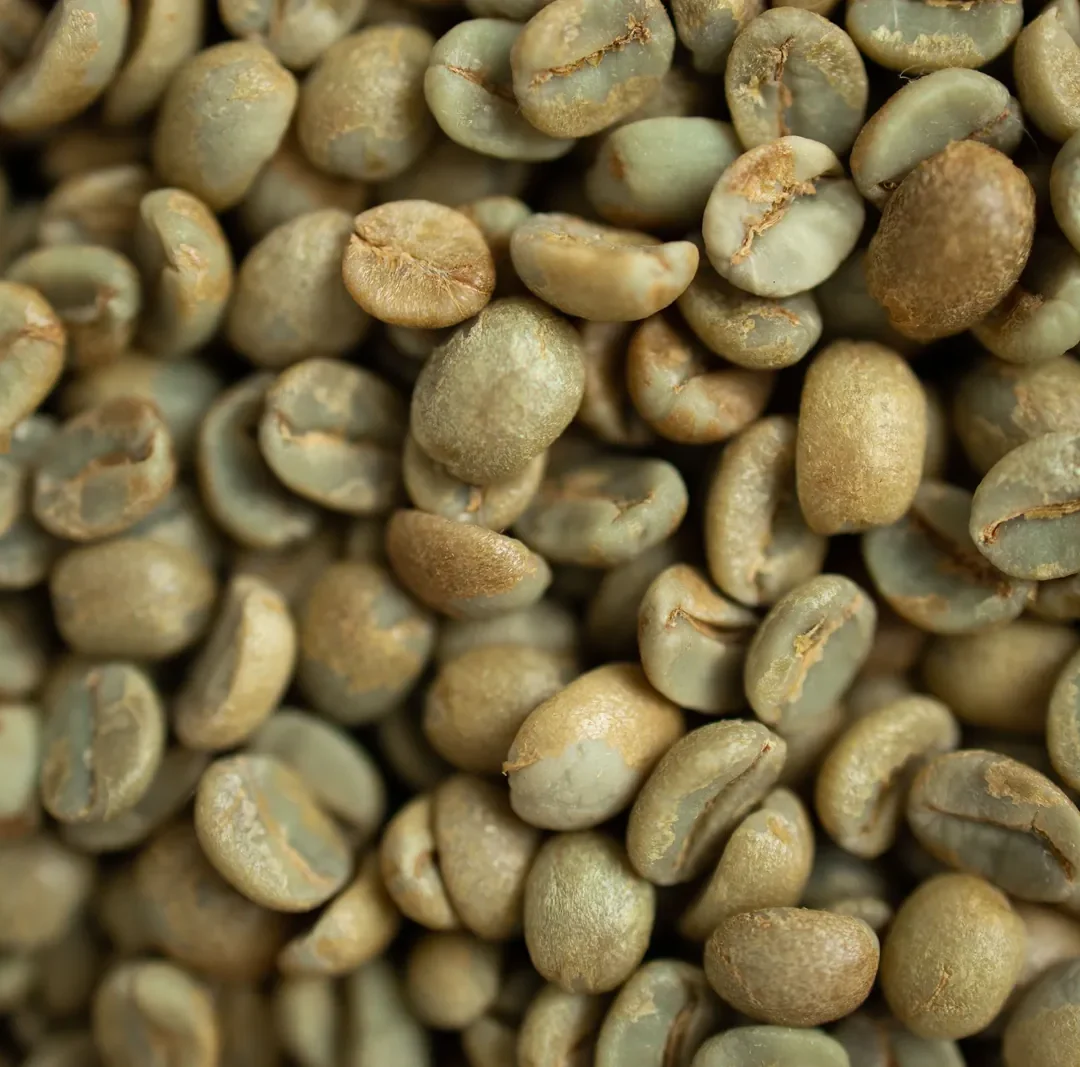 Granos de café verde sin tostar