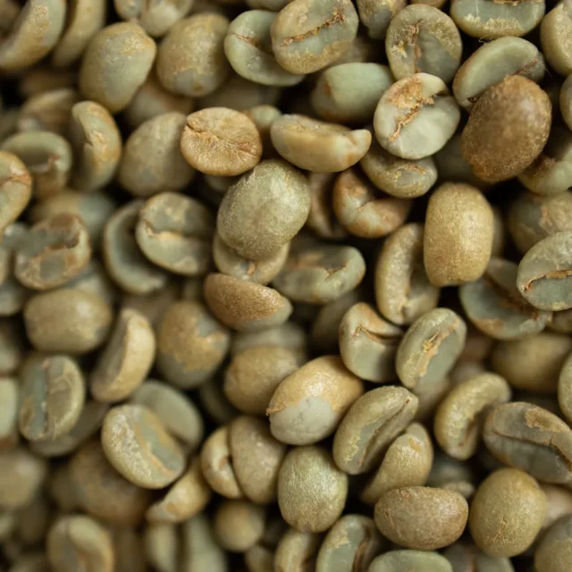 Granos de café verde sin tostar